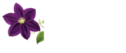 Patxi Castro