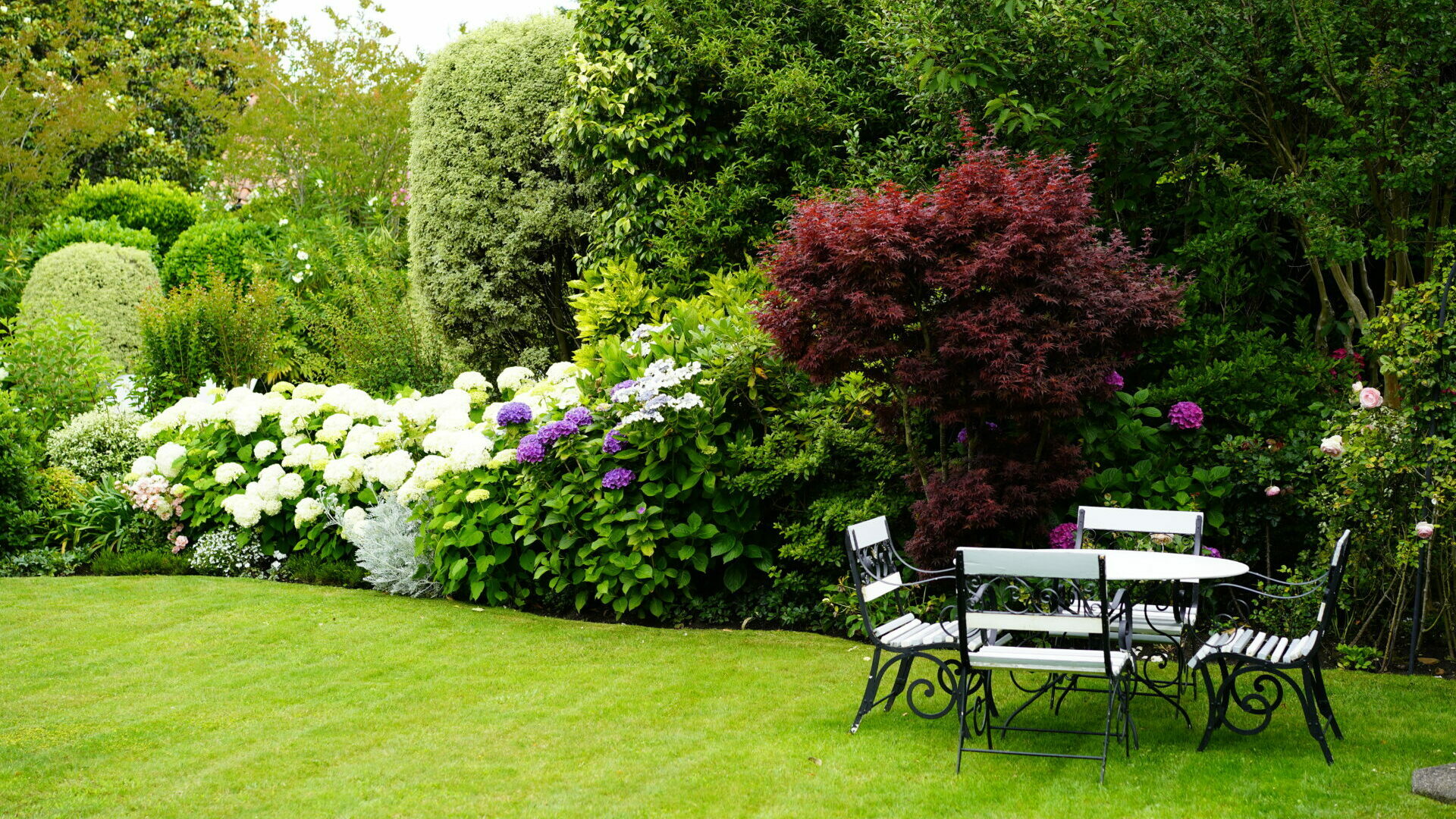 Patxi Castro Paysage