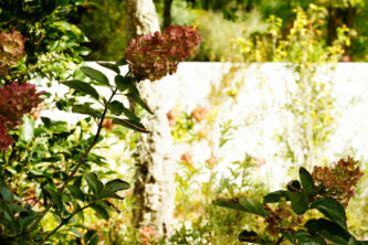 Livraison d’un nouveau jardin à Anglet !