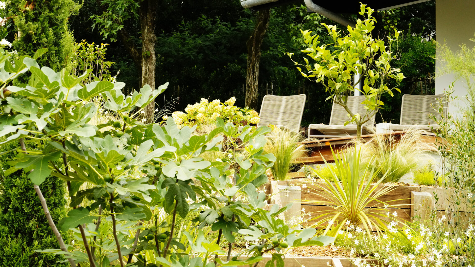 Patxi Castro Paysage