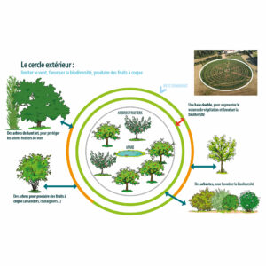 Agencement concentrique du verger expérimental : diversité et fonctionnalité