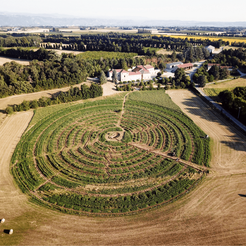 Verger circulaire de Gotheron : produire des fruits sans pesticides, c’est possible !