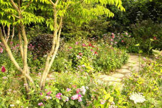 Entretenir un jardin régénératif : quelques principes simples