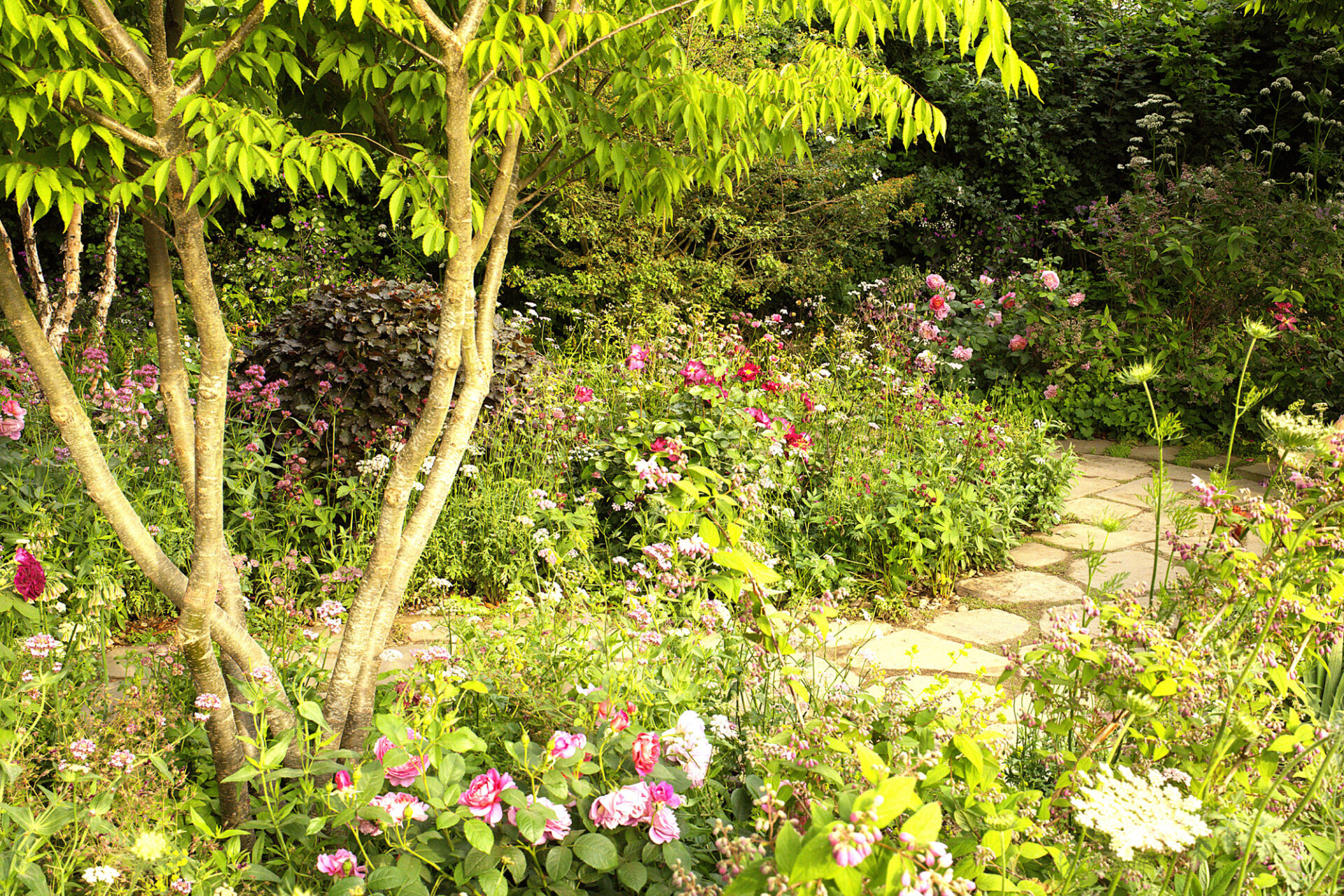 Entretenir un jardin régénératif : quelques principes simples