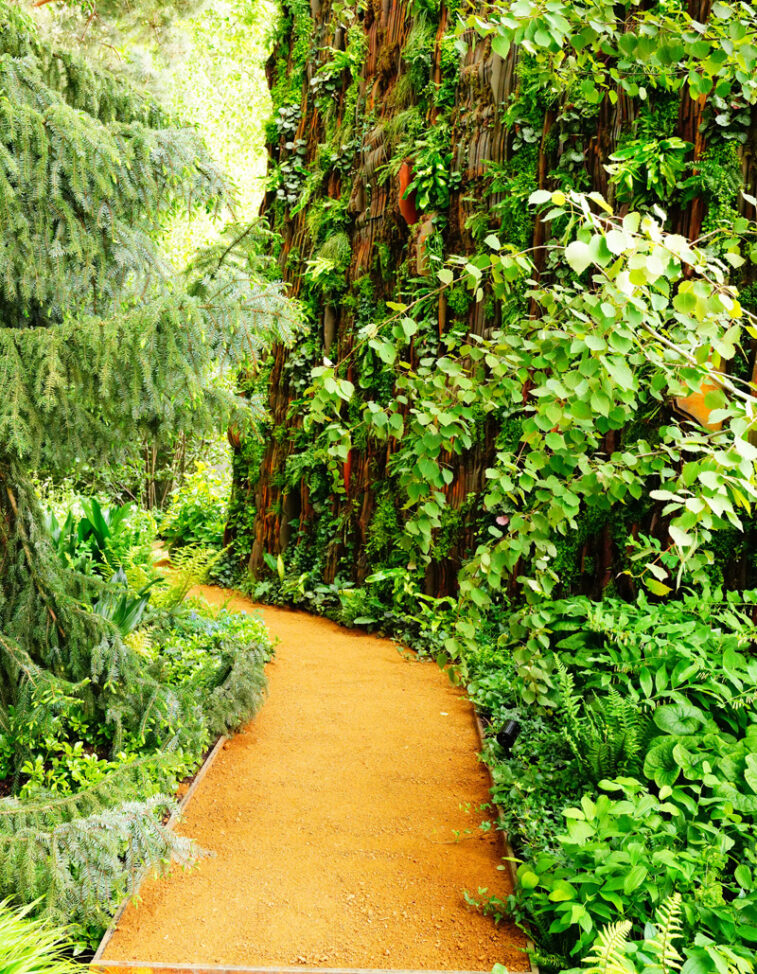 allée-patxi-castro-paysage (1)