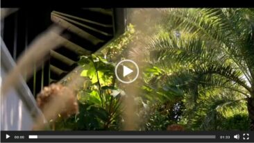 Comment concevons nous des jardins et terrasses durables ?